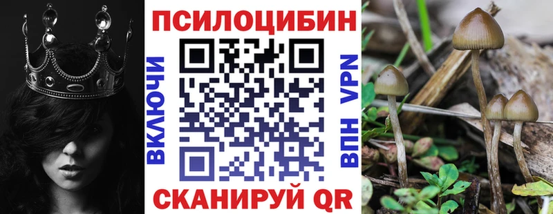 Купить закладки  Балтийск  Псилоцибиновые грибы Cubensis 